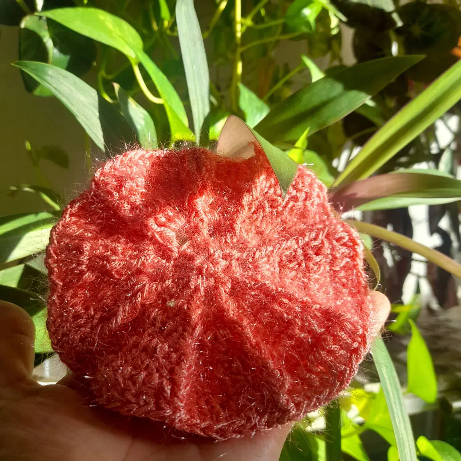 اسکاج و دستگیره|لوازم نظافت|اسلامآباد غرب, |دیوار