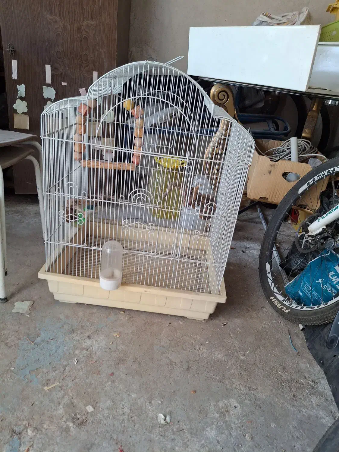 قفس پرنده|لوازم جانبی حیوانات|مشهد, بهاران|دیوار