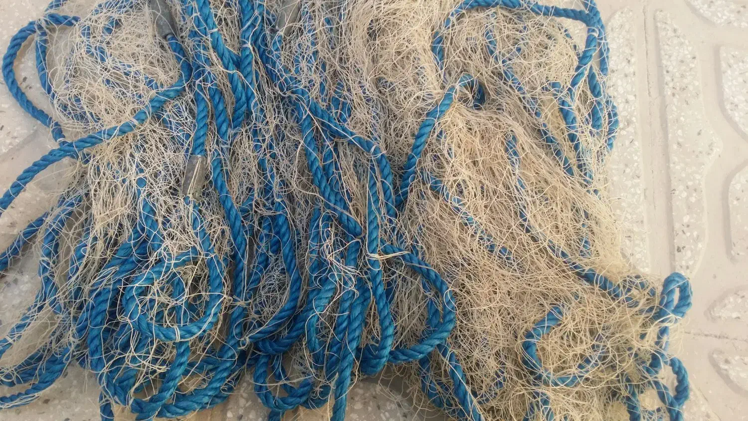 تور|ماهیگیری|کازرون, |دیوار