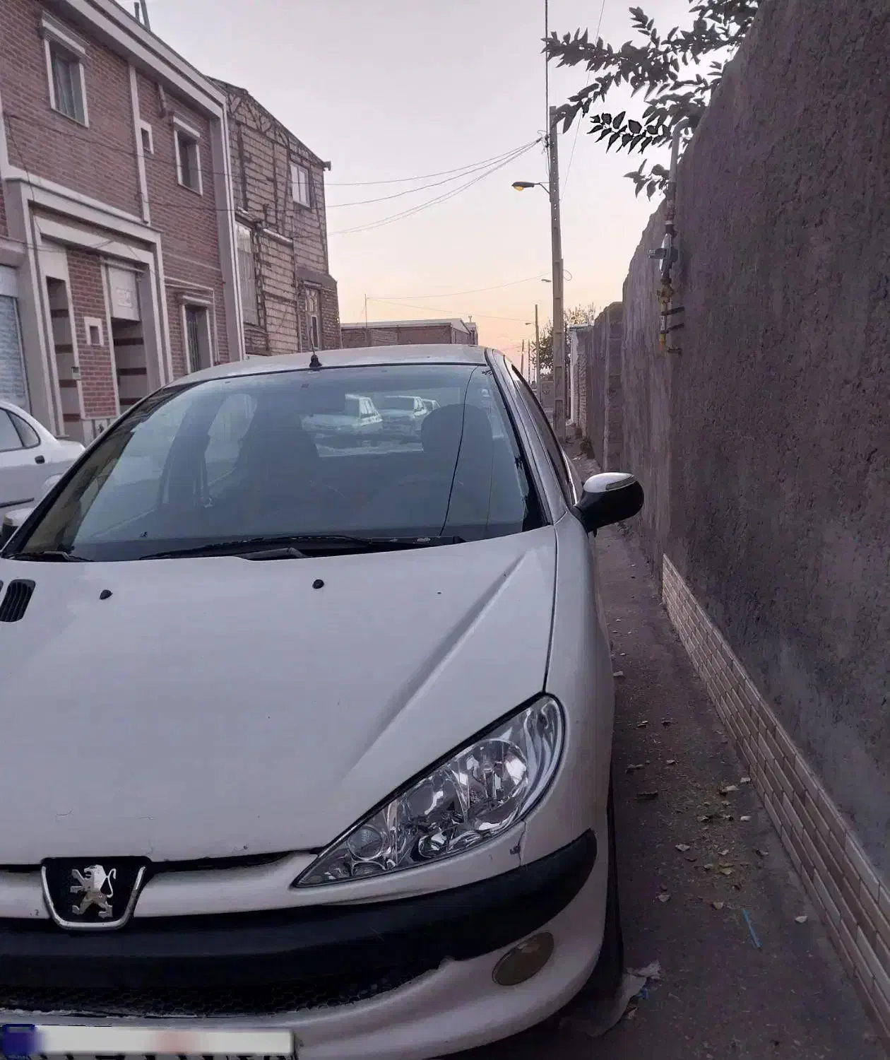 پژو ۲۰۶ تیپ ۲|خودرو سواری و وانت|بردسیر, |دیوار