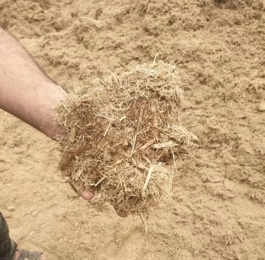 کاه|خدمات باغبانی و درختکاری|کارون, |دیوار