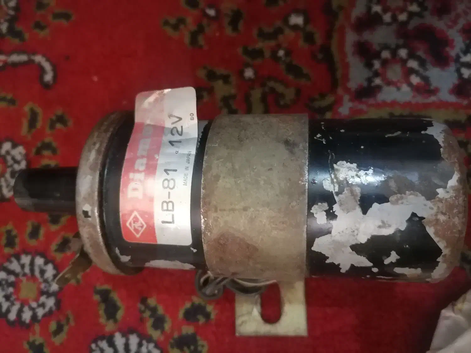 باند پایونیر|صوتی و تصویری|شیراز, اصلاح‌نژاد|دیوار