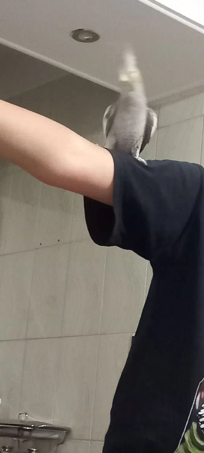 عروس هلندی دستی ماده|پرنده|کرج, محمد آباد|دیوار