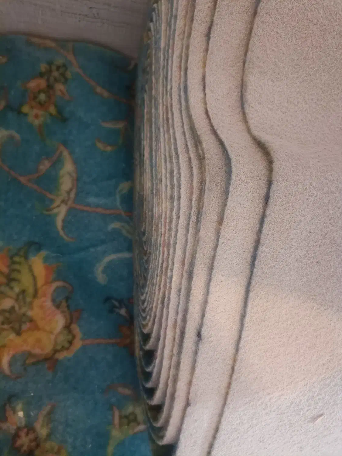 موکت|موکت|بندرعباس, |دیوار