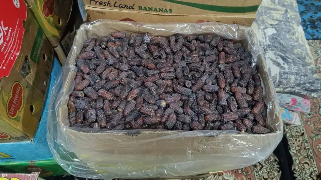 خرما نمونه و ارگانیک|حراج|حاجی آباد, |دیوار