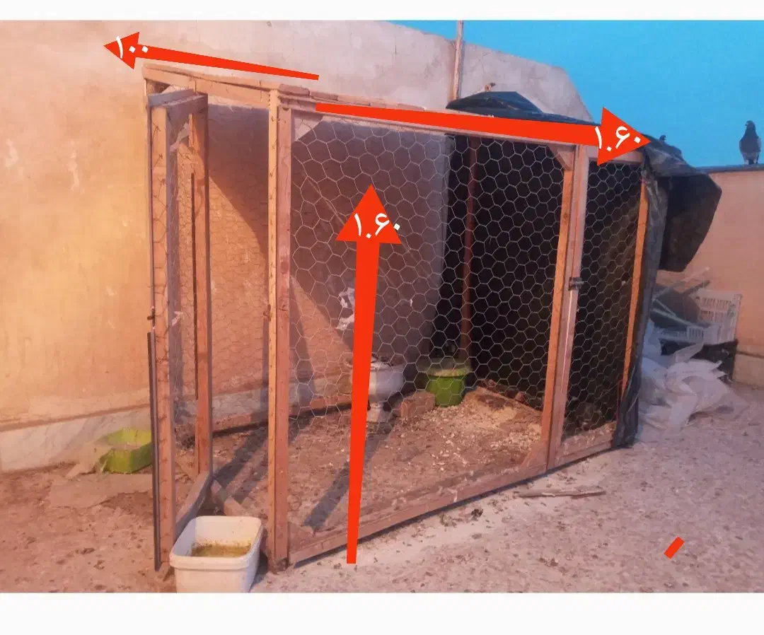 فروش قفس بزرگ چوبی محکم و خوش ساخت|لوازم جانبی حیوانات|نیشابور, بزرگمهر|دیوار