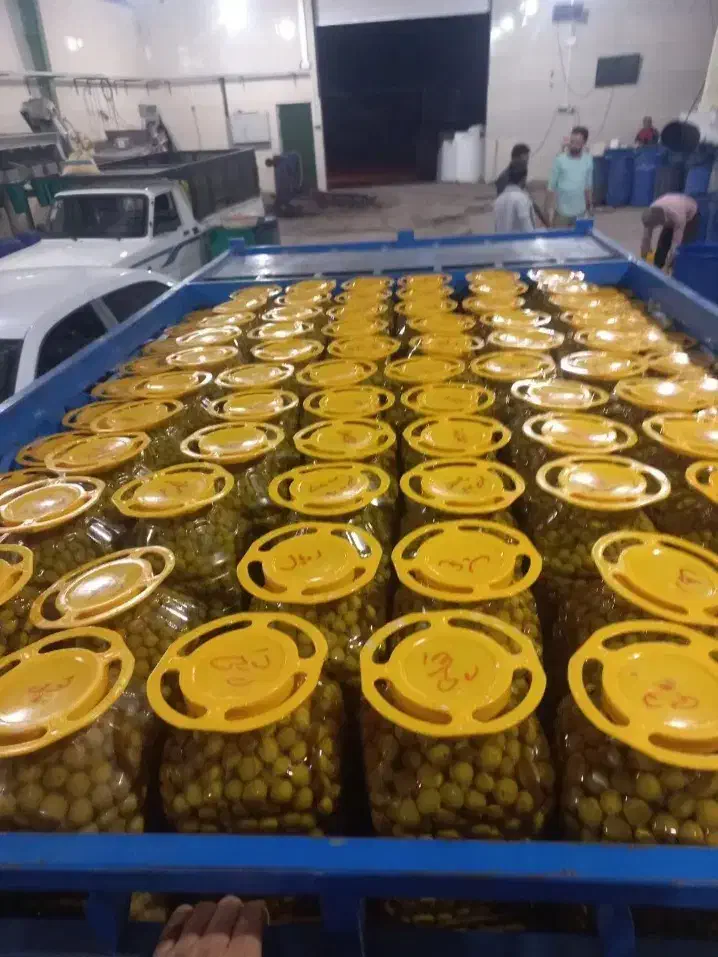 پخش عمده زیتون سوپر ویژه|خوردنی و آشامیدنی|تهران, میدان میوه و ترهبار مرکزی|دیوار