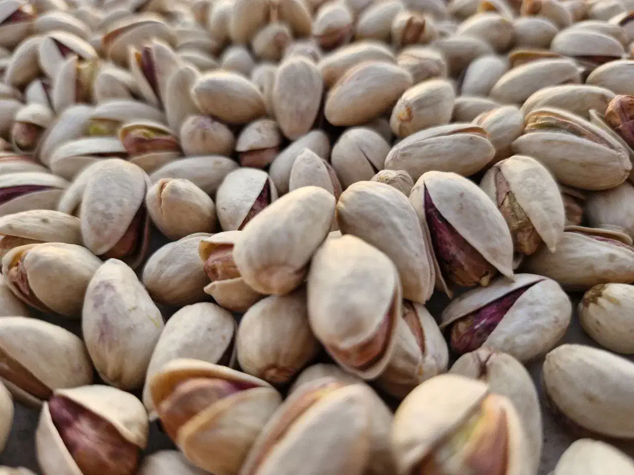 پسته درجه یک فیض آباد خراسان کیفیت بالا|خوردنی و آشامیدنی|شهرکرد, |دیوار