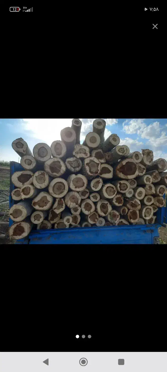 خریدار چوب|خدمات باغبانی و درختکاری|لاران, |دیوار