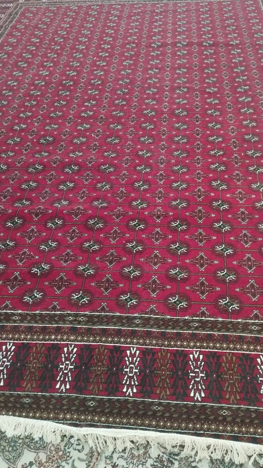 فرش نو|فرش|شهرکرد, |دیوار