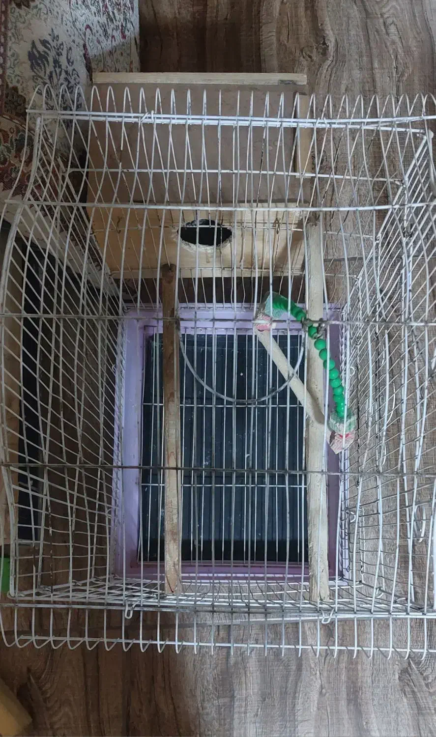 قفس پرنده|لوازم جانبی حیوانات|رشت, باهنر|دیوار