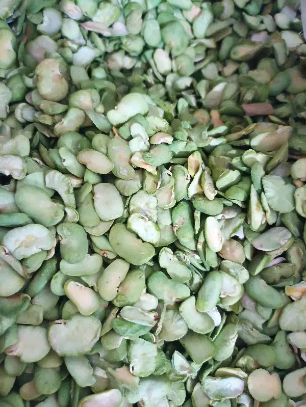 باقلا خشک لپه|خوردنی و آشامیدنی|شیراز, شهرک مخابرات|دیوار