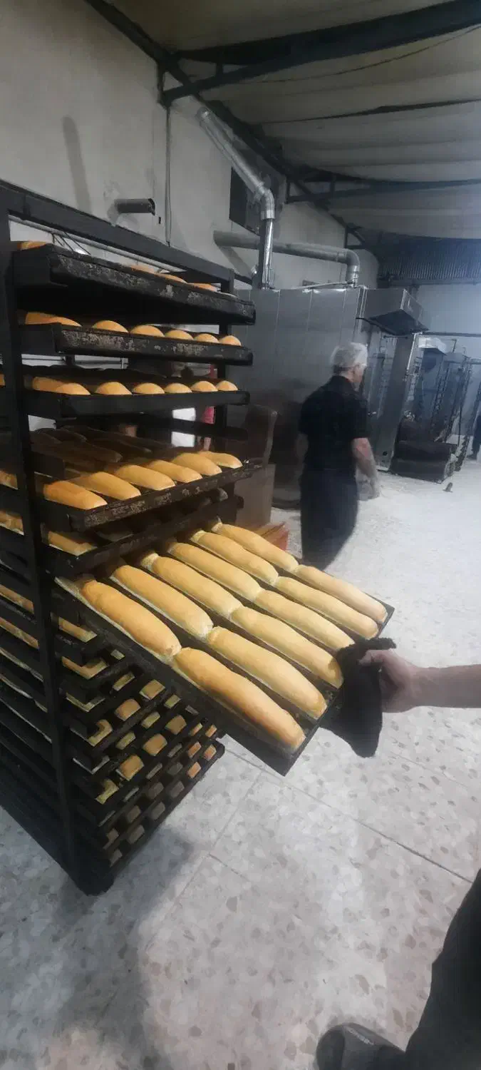 ساندویچ سرد کوژیر|خوردنی و آشامیدنی|کرمانشاه, |دیوار