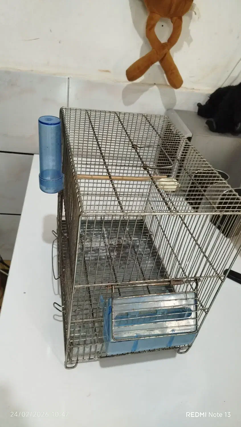 قفس|لوازم جانبی حیوانات|اهواز, حصیرآباد|دیوار