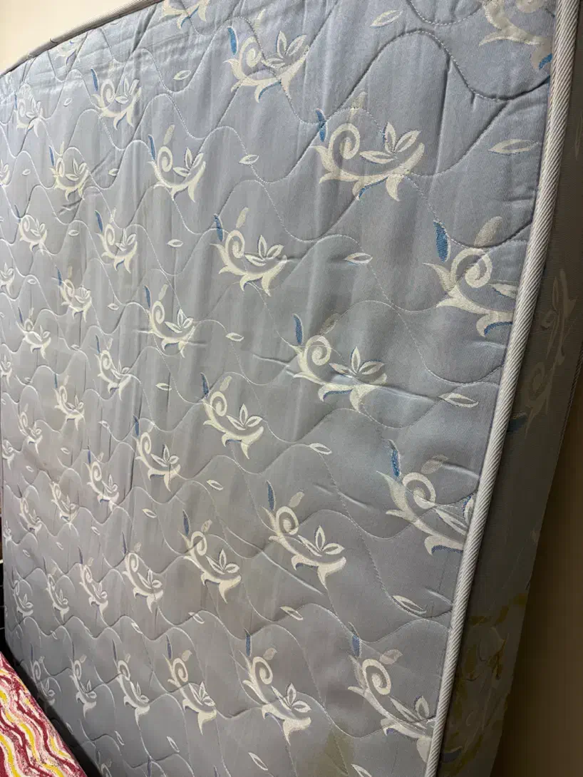 تشک دونفره طبی فنری|تشک تختخواب|دوگنبدان, |دیوار