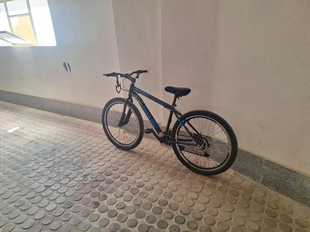 دو دوچرخه نو ۲۰ ،۲۶|دوچرخه، اسکیت، اسکوتر|صدرا-فارس, فاز ۱|دیوار