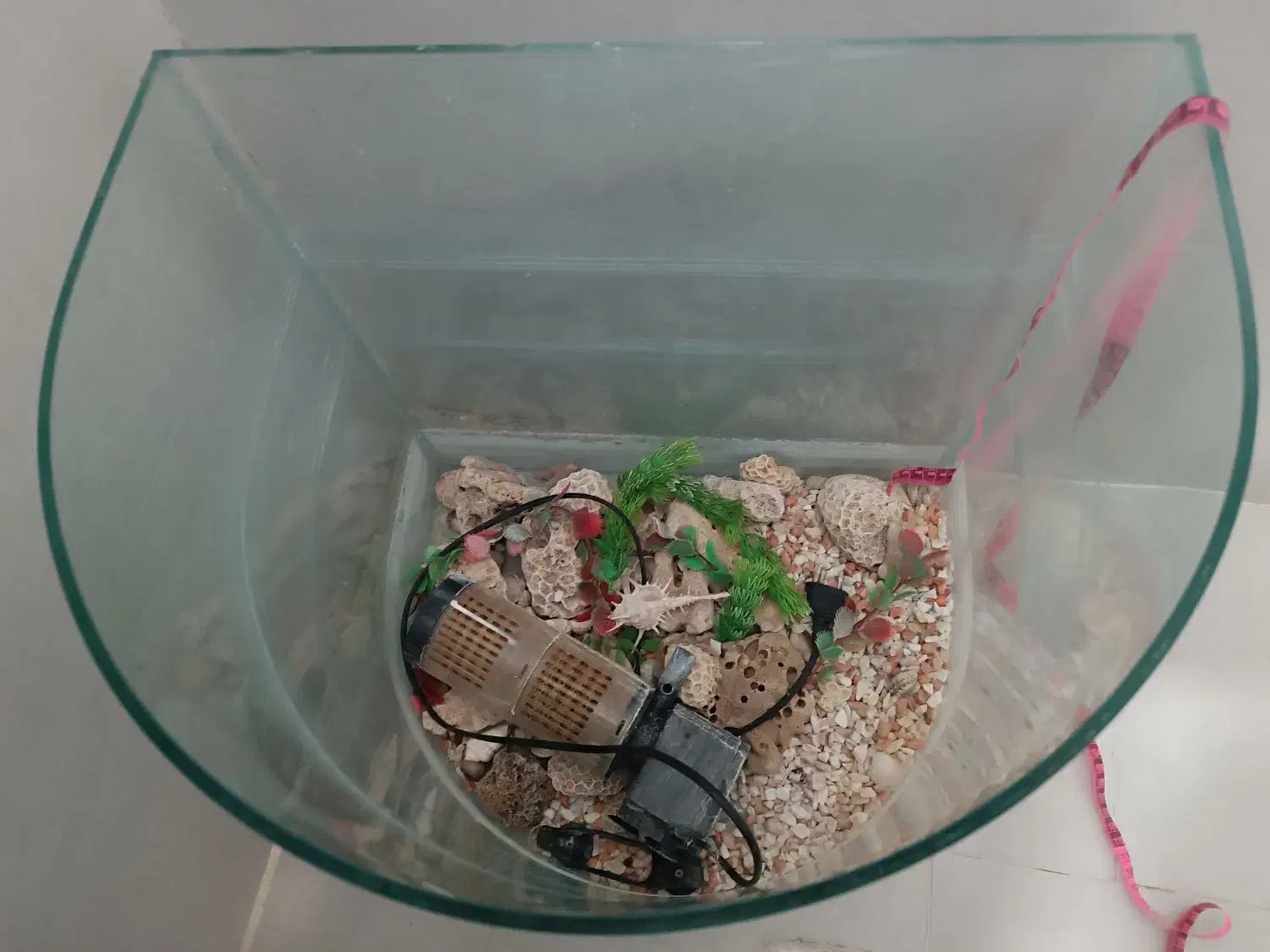 آکواریوم|ماهی|مشهد, کشف|دیوار