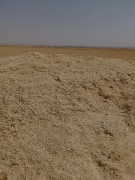 کاه گل گندم سرخوشه بشرط کردستان|حیوانات مزرعه|زارچ, |دیوار