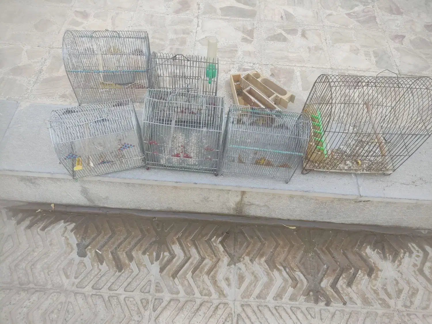 قفسه‌|حراج|اقلید, |دیوار