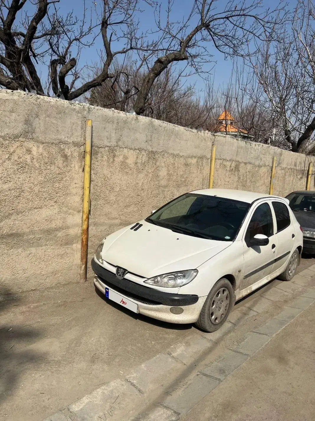 206 سفید دور رنگ|خودرو کلاسیک|شهریار, شهریار|دیوار