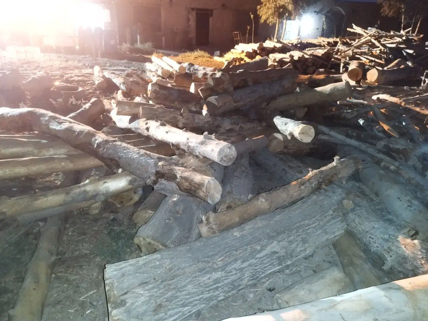 خرید چوب|خدمات باغبانی و درختکاری|ورامین, ورامین|دیوار