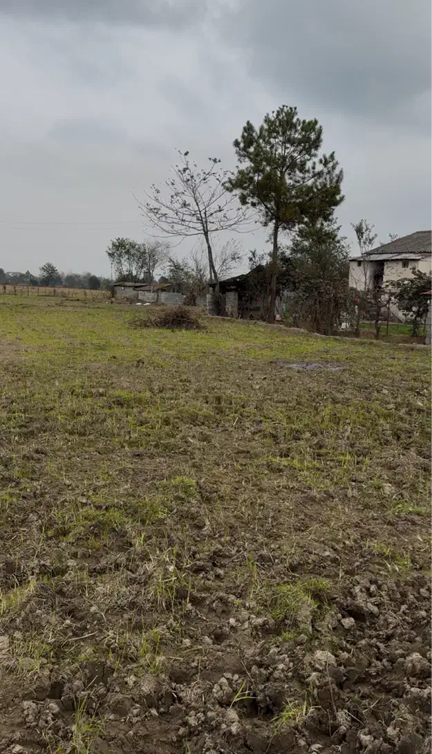 باغ مناسب کیوی سند ثبتی چسبیده به مسکونی|فروش زمین و ملک کلنگی|پرهسر, |دیوار