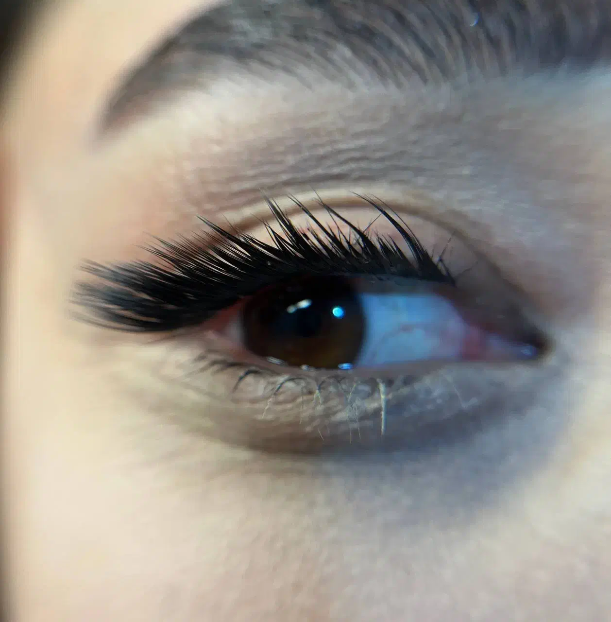 کاشت مژه تخصصی|خدمات آرایشگری و زیبایی|بندر انزلی, آخرخط|دیوار