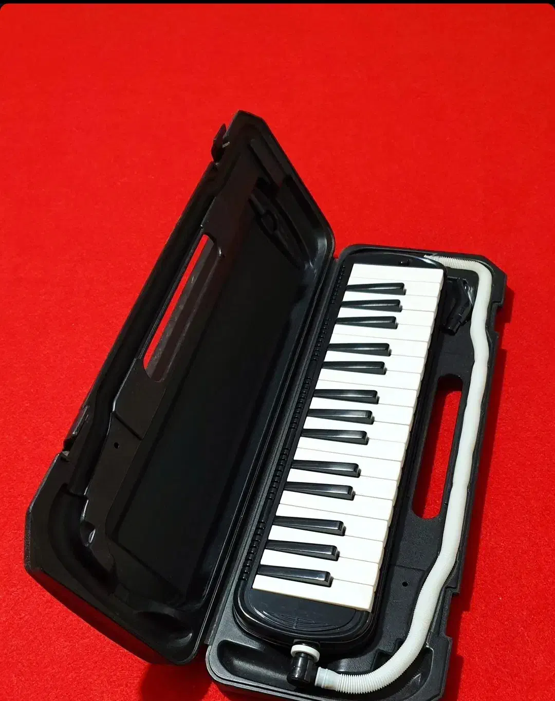 ملودیکا ، برند ملودی پیانو|پیانو، کیبورد، آکاردئون|رشت, حاجی آباد|دیوار