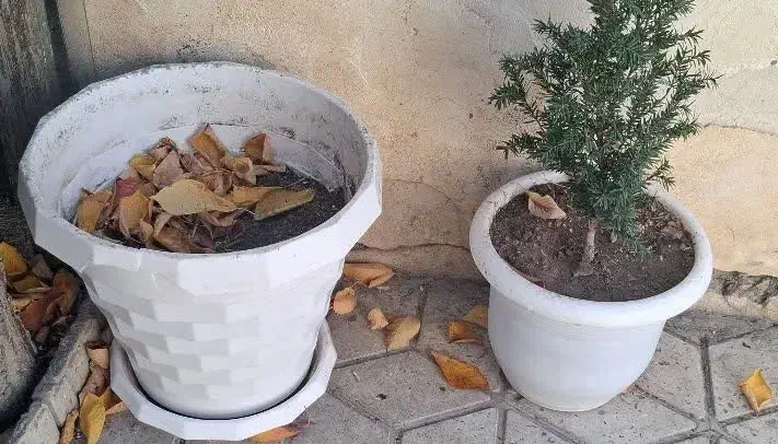 زیر قیمت|کفش و لباس بچه|خلخال, |دیوار