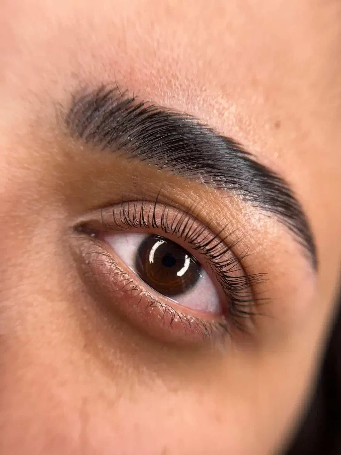 لیفت و لمینیت مژه و ابرو|خدمات آرایشگری و زیبایی|تایباد, |دیوار