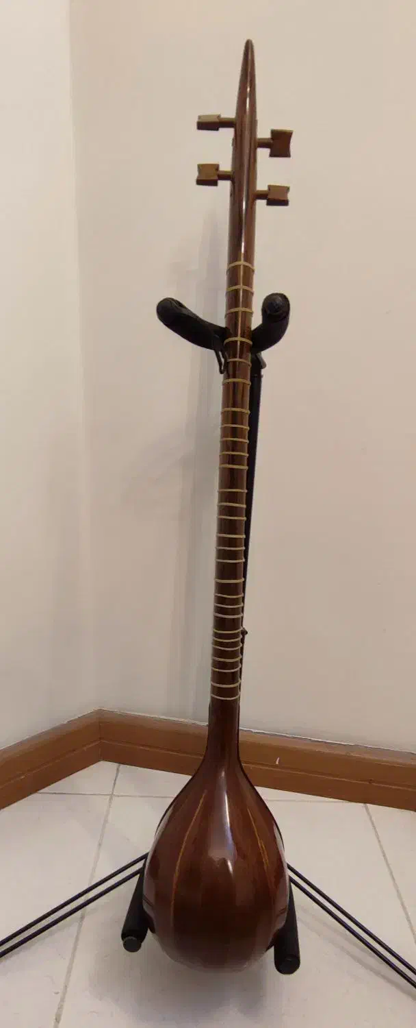 سه تار|سازهای سنتی|اصفهان, باغ دریاچه|دیوار