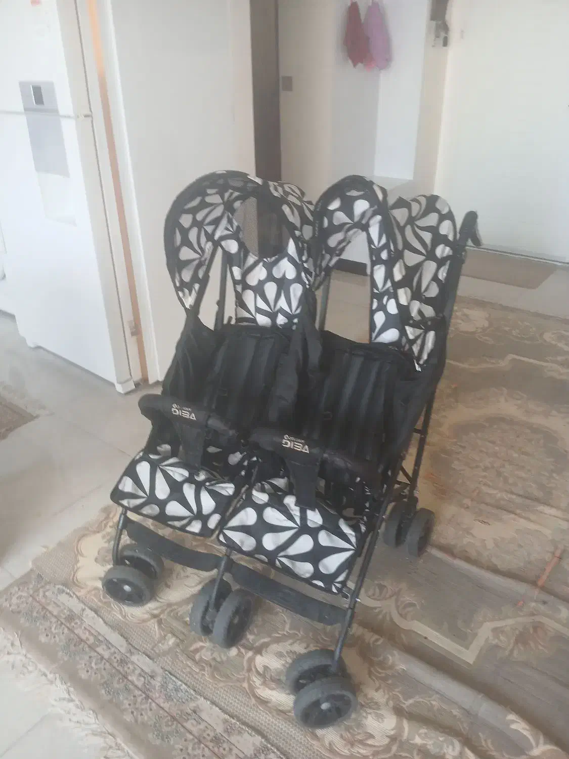 کالسکه دوقلو دلیجان|کالسکه و لوازم جانبی|شاهین‌شهر, اقبال لاهوری|دیوار