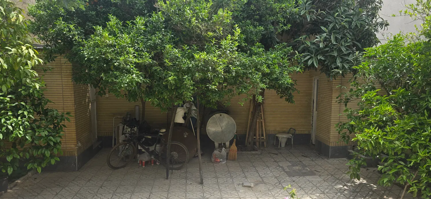 تصویر 3