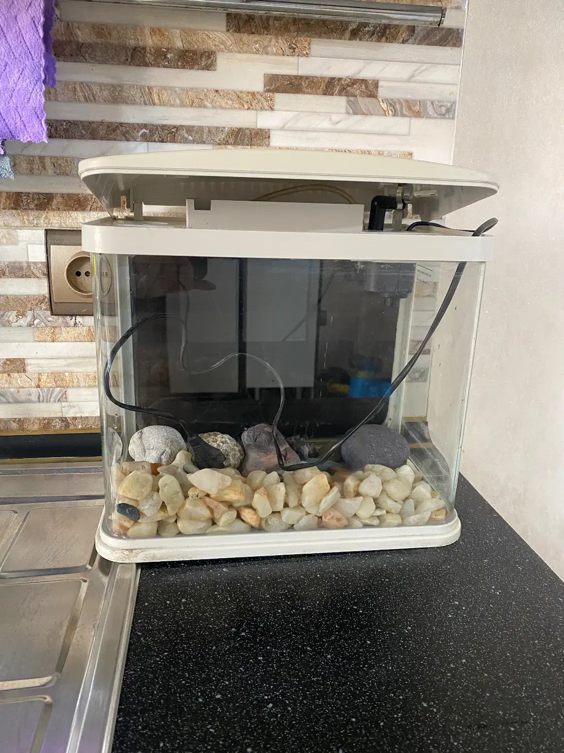 اکواریوم|ماهی|تهران, مشیریه|دیوار