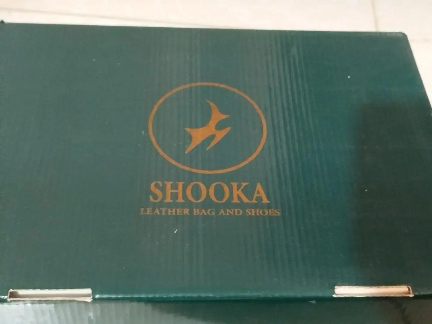 یک جفت کفش کاملا چرم مشکی|کیف، کفش، کمربند|رشت, گلسار|دیوار