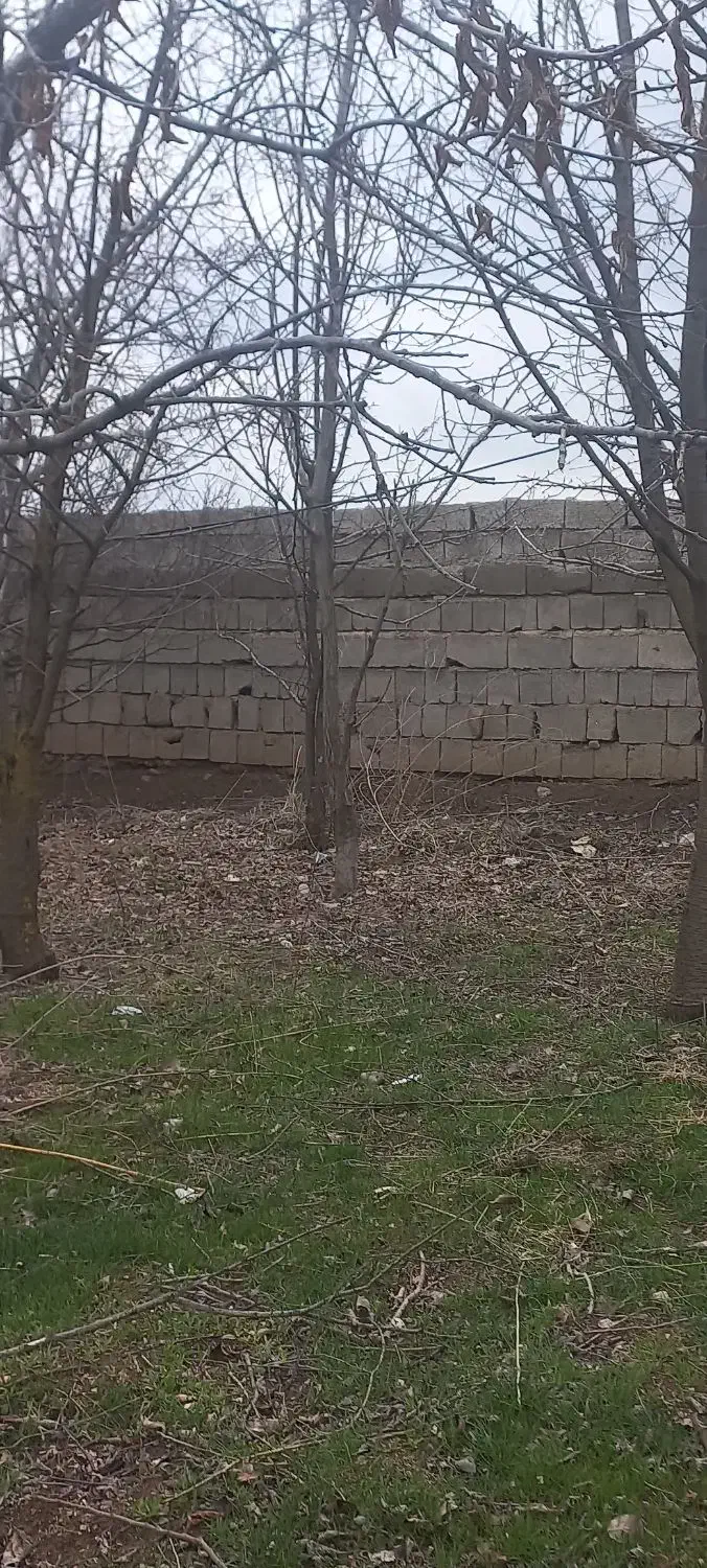 گاوداری ۱۵۰ راسی|فروش دفتر صنعتی، کشاورزی، تجاری|ثمرین, |دیوار