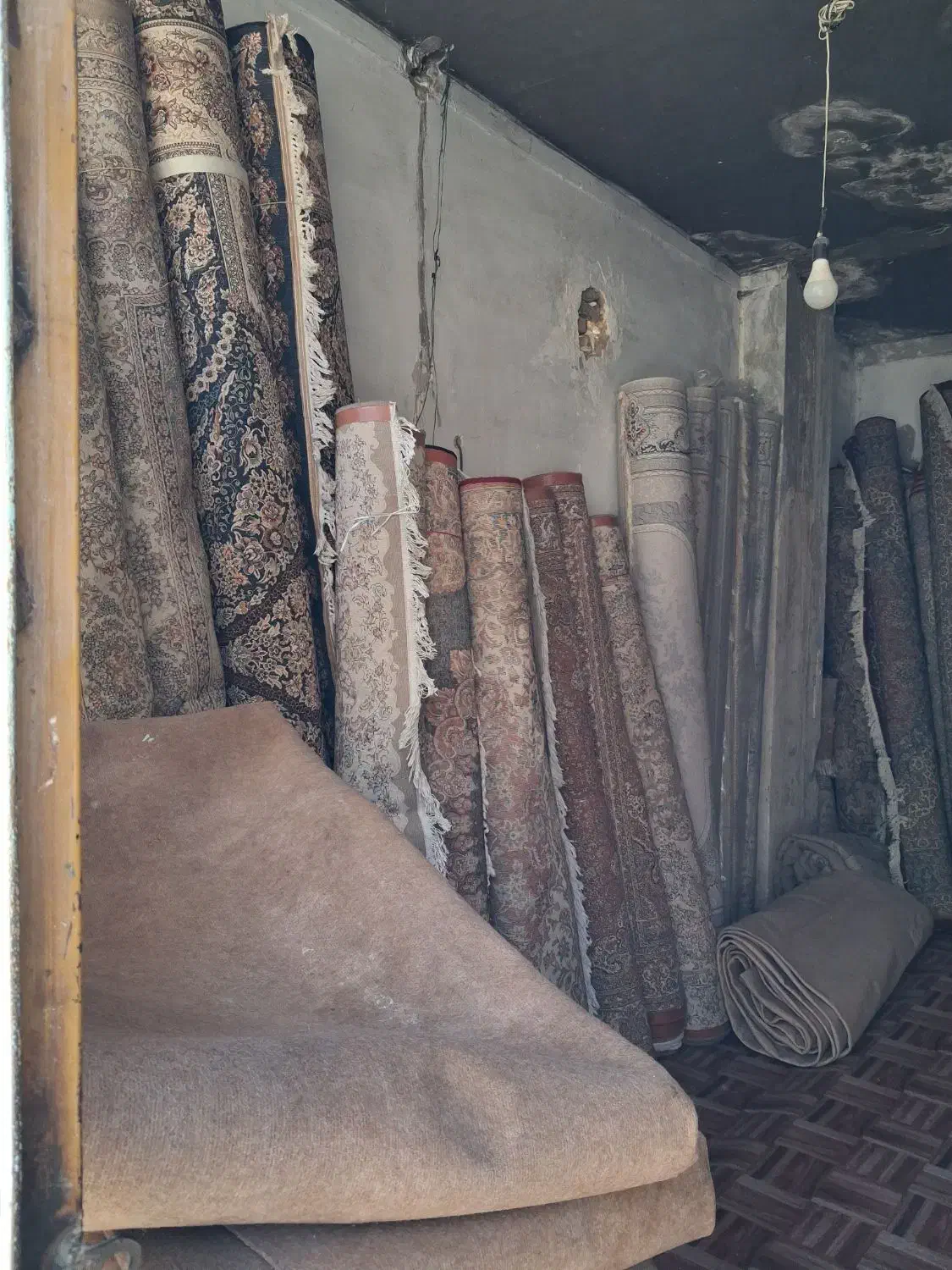 فرش فروشی|فرش|شاهرود, |دیوار