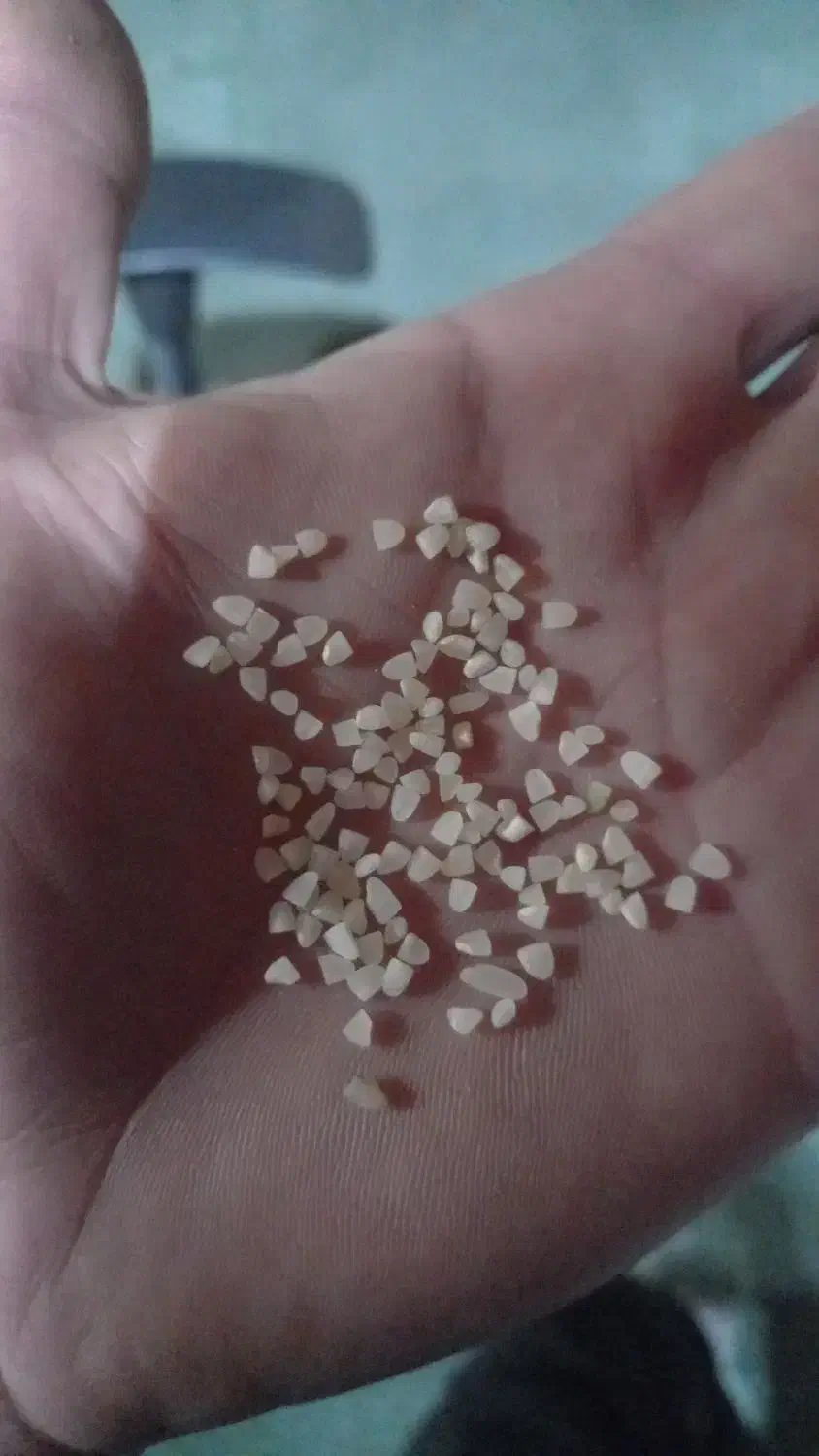 برنج کامفیروزی و نیم دونه|خوردنی و آشامیدنی|صدرا-فارس, فاز ۲|دیوار