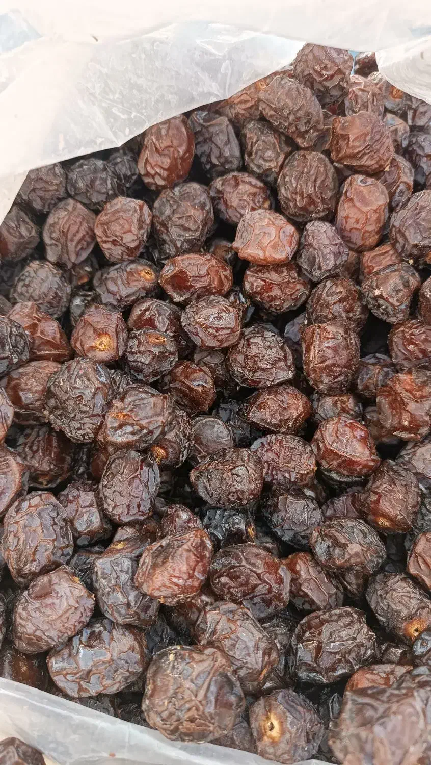 خرمای آجیلی هیلیله|خوردنی و آشامیدنی|خنج, |دیوار