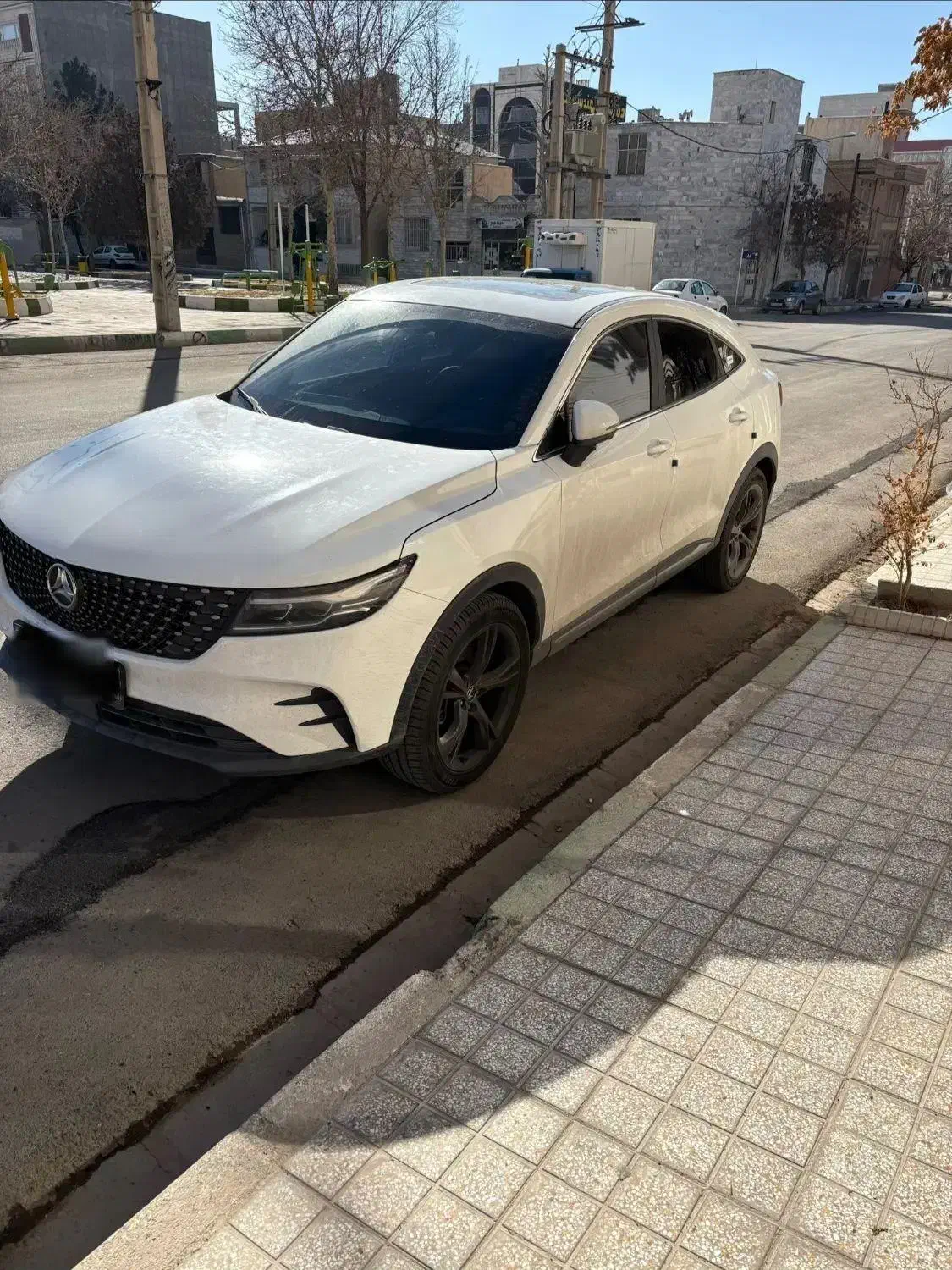 دیگنیتی پرستیژ ۱۴۰۳|خودرو سواری و وانت|هشتگرد, شهرک ولیعصر (مصلی)|دیوار