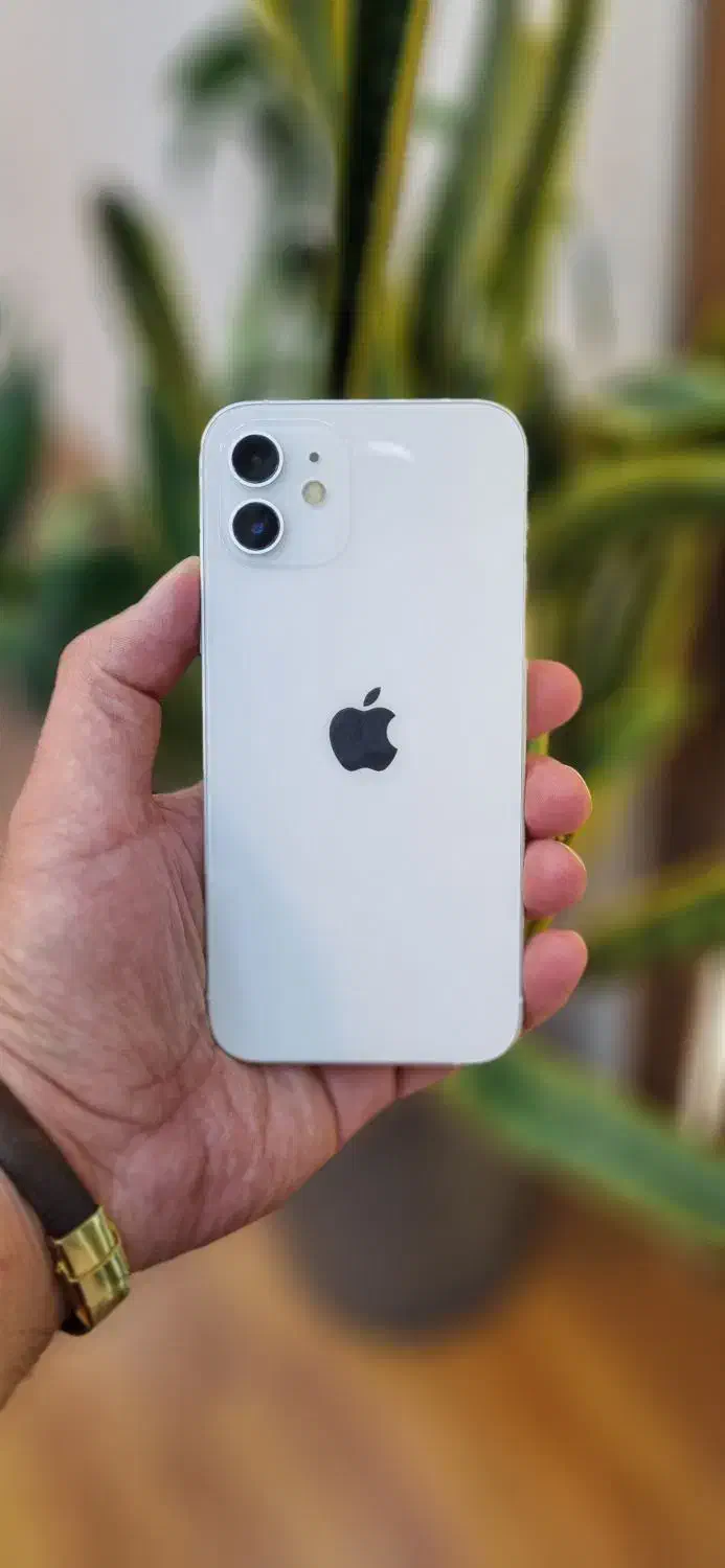 iphone 12 ایفون اقساطی و نقدی|موبایل|تهران, جردن|دیوار