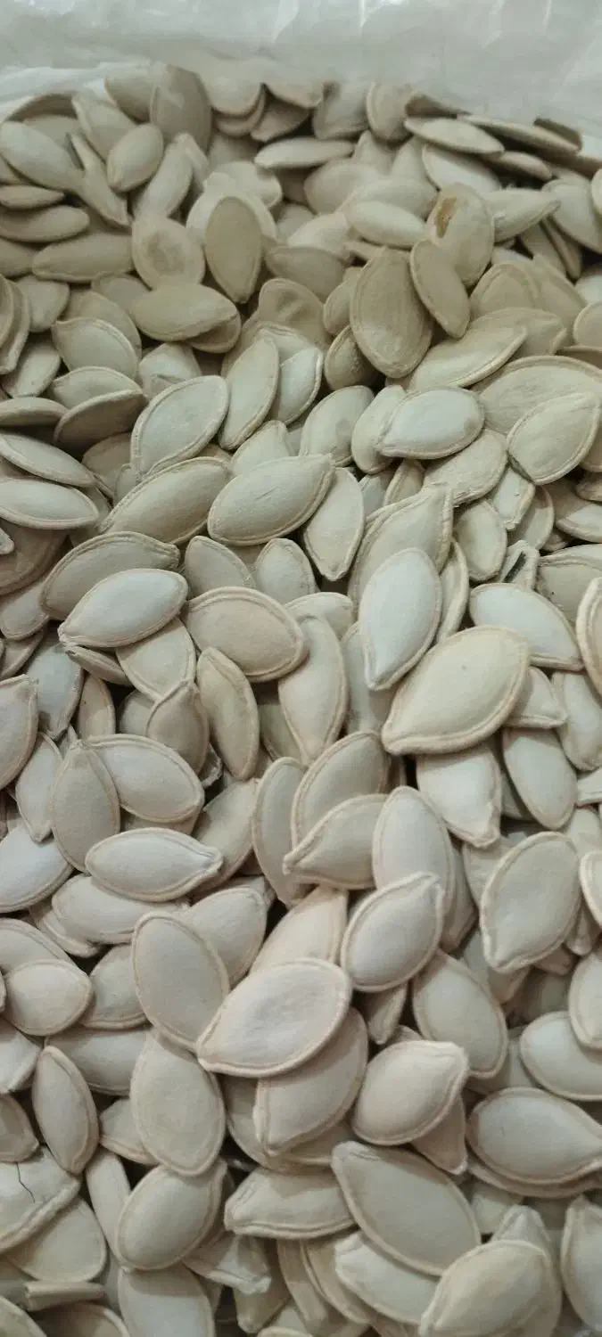 فروش تخمه کدوسرحدسیمیرم|خوردنی و آشامیدنی|شیراز, شیخ روزبهان|دیوار