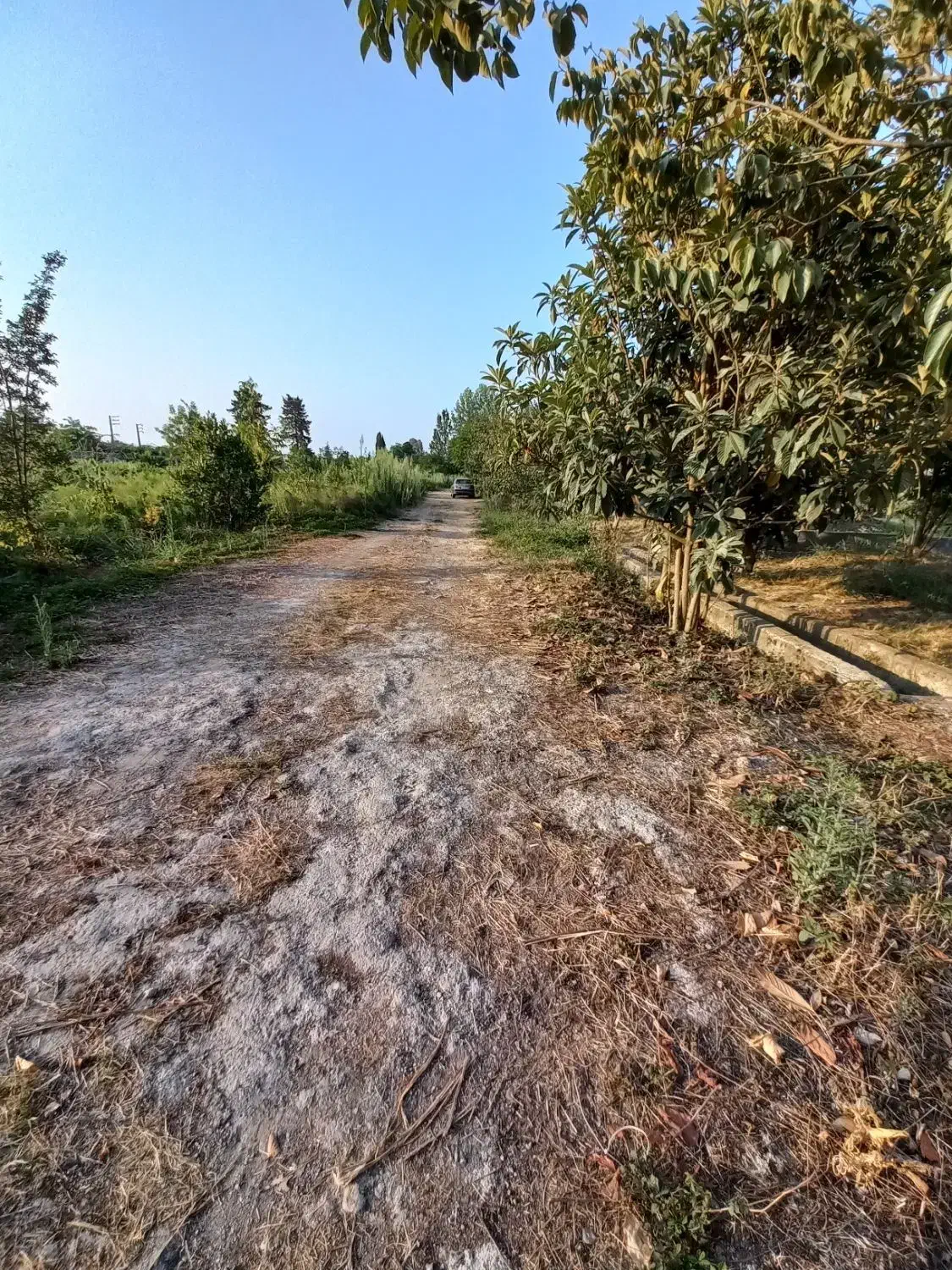 فروش زمین۳۳۵ مسکونی سه نبش/ جوازساخت/درب اختصاصی|فروش زمین و ملک کلنگی|نشتارود, |دیوار