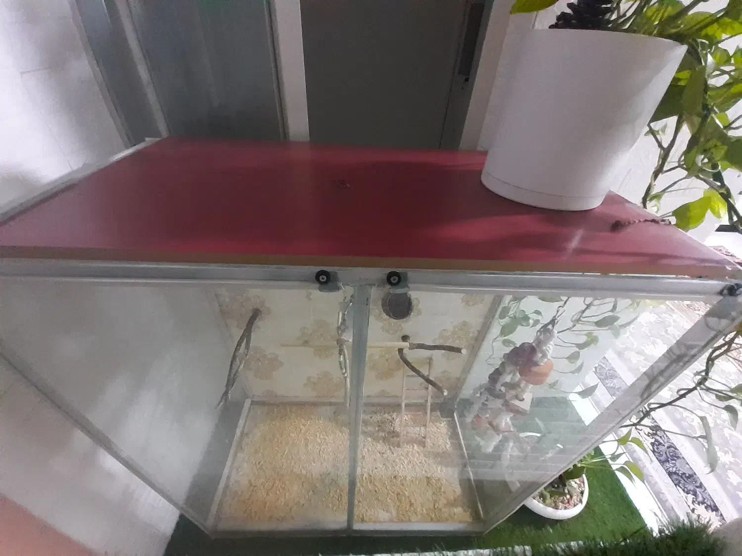 قفس پرنده|لوازم جانبی حیوانات|پاکدشت, پاکدشت (مامازند)|دیوار