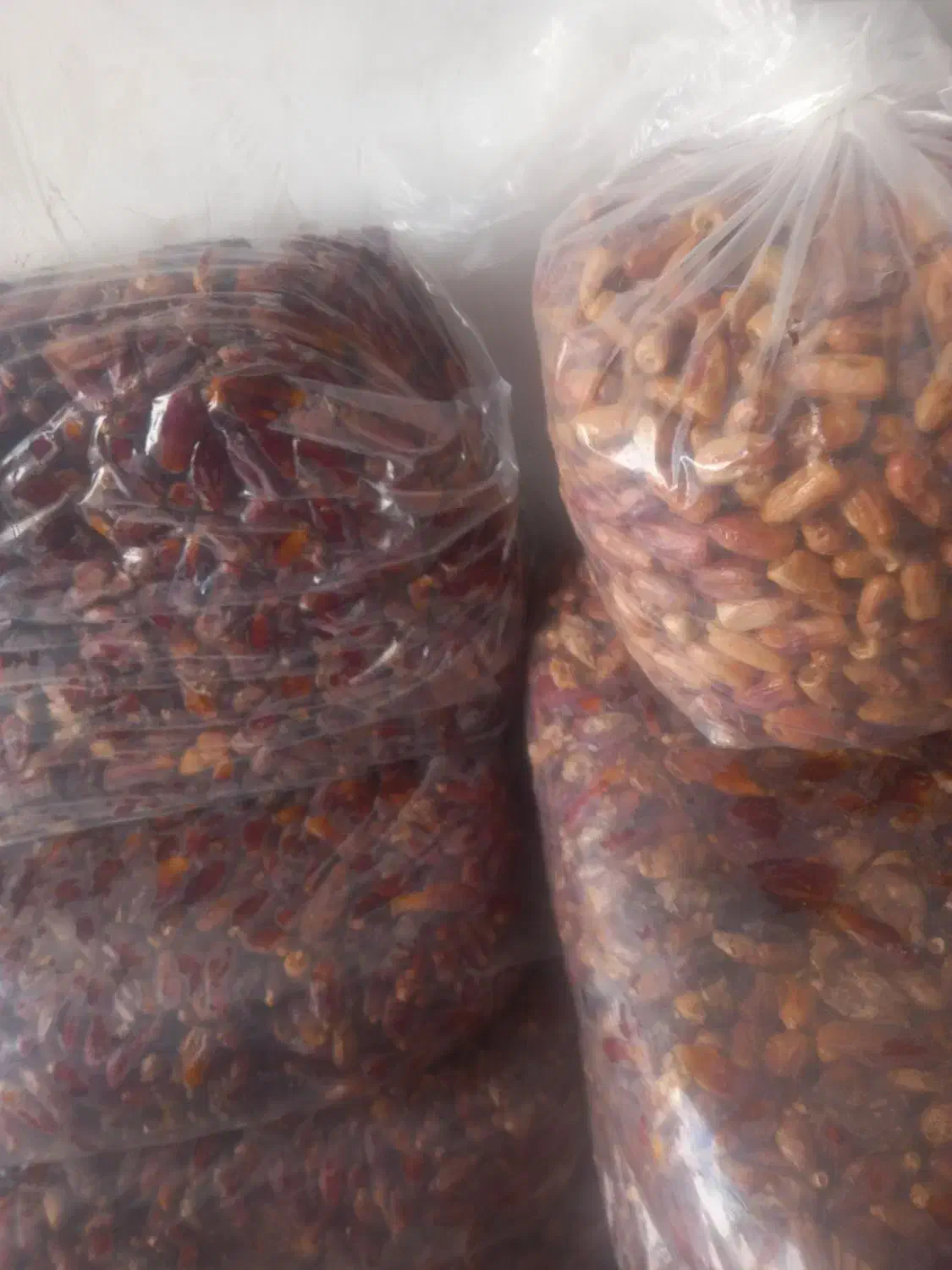 خرما|خوردنی و آشامیدنی|داراب, |دیوار