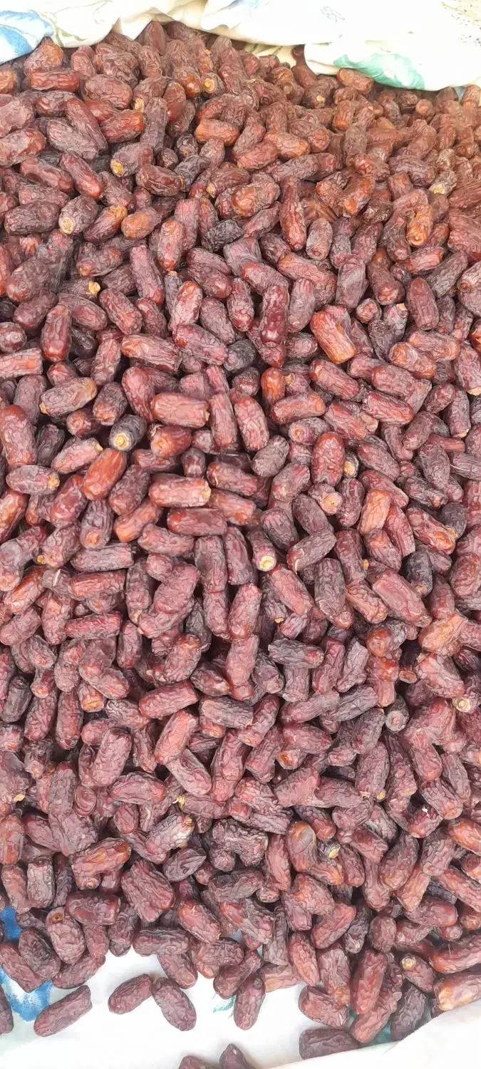 خرما پیارم درجه یک کیلویی ۴۵۰ درجه دو کیلویی ۲۰۰|عمده‌فروشی|سیرجان, |دیوار