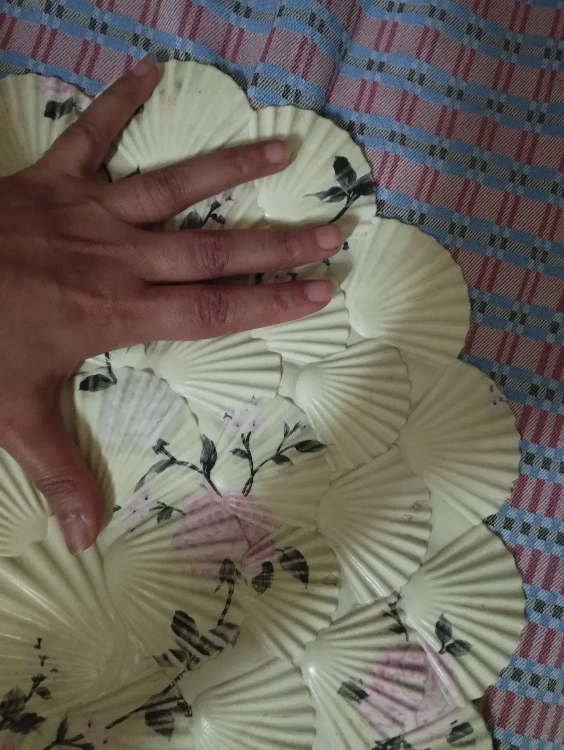 پادری پلاستیکی|پادری|رشت, جانبازان|دیوار