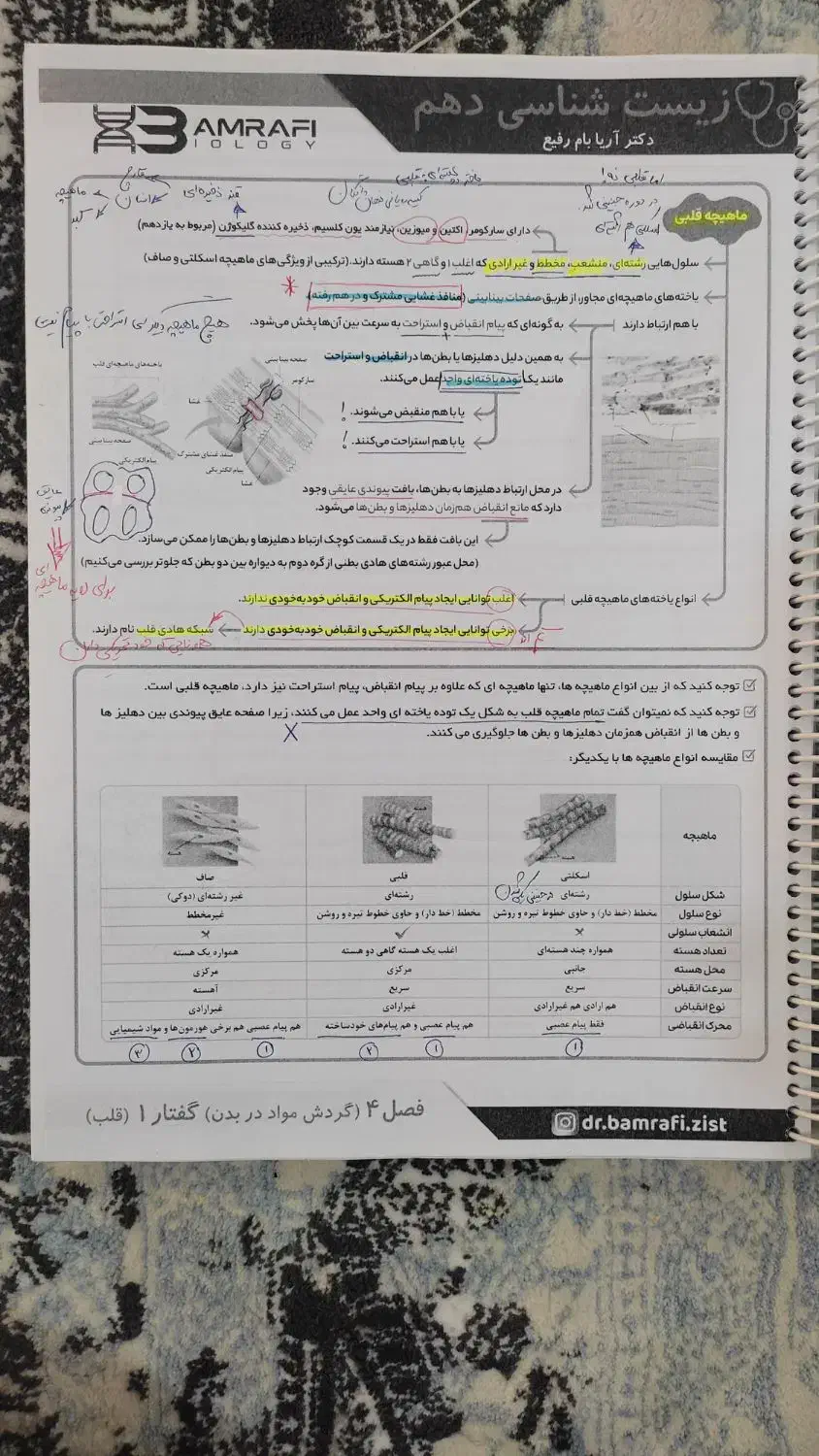 جزوه استاد بام رفیع زیست پایه و دوازدهم کنکور 1404|کتاب و مجله آموزشی|قم, آذر (نکویی)|دیوار
