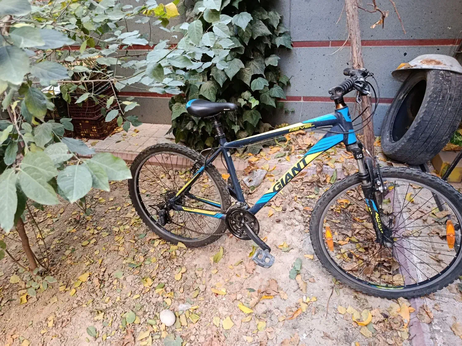 دوچرخه جاینت|دوچرخه، اسکیت، اسکوتر|تبریز, |دیوار