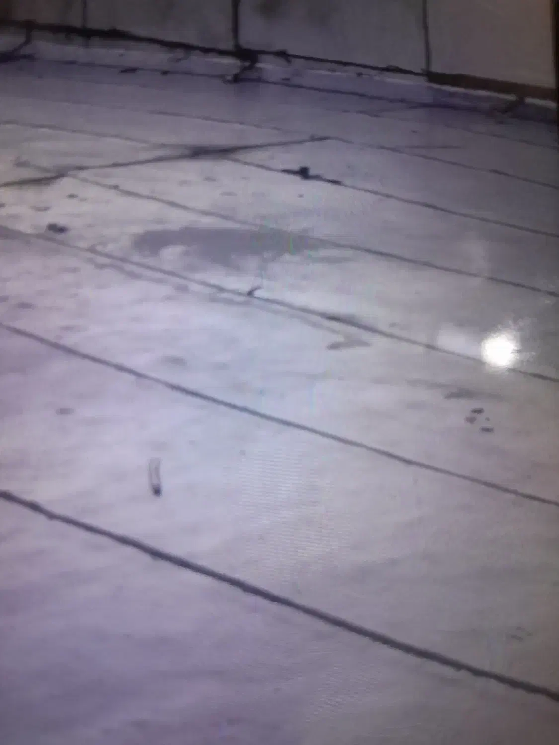 ایزوگام و قیرگونی|خدمات پیشه و مهارت|ایلام, |دیوار